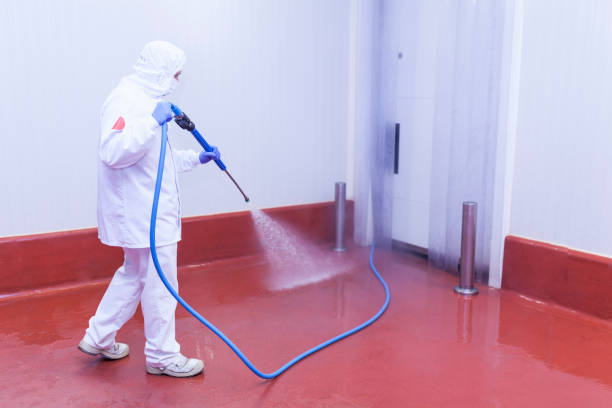 Best Gutter Cleaning and Brightening in Penhook, VA