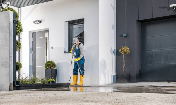 Best Roof Cleaning and Mildew Removal in Penhook, VA